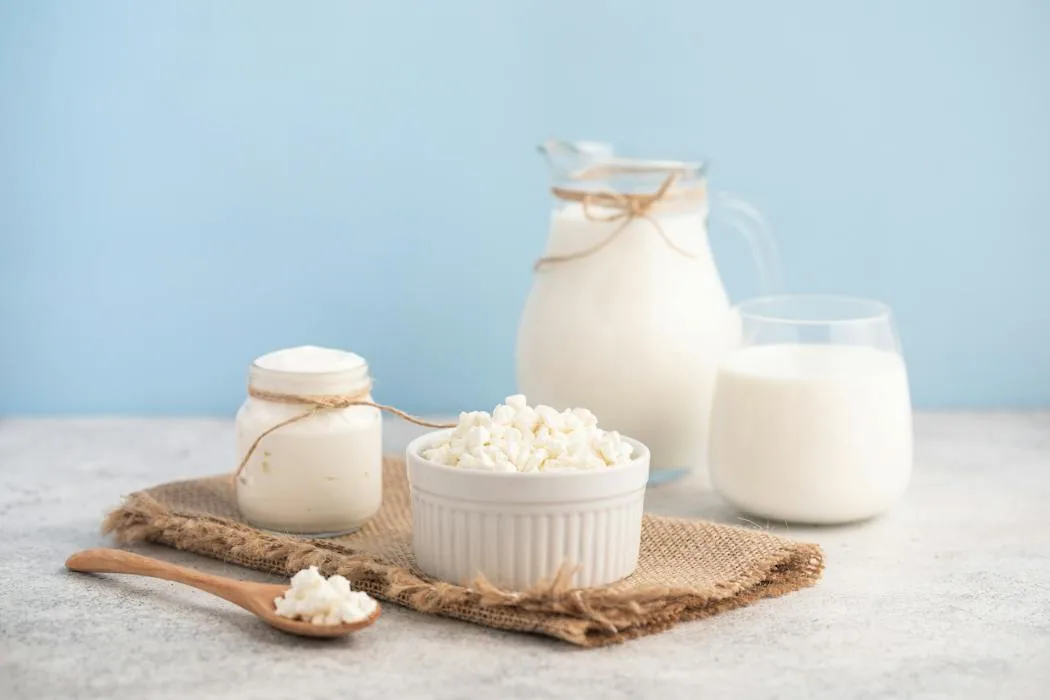 Fermented foods may influence muscle health through gut connections