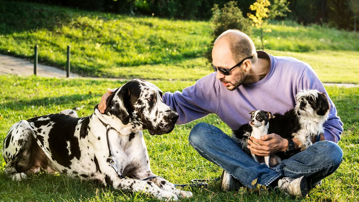 Large dogs show faster epigenetic aging according to new study
