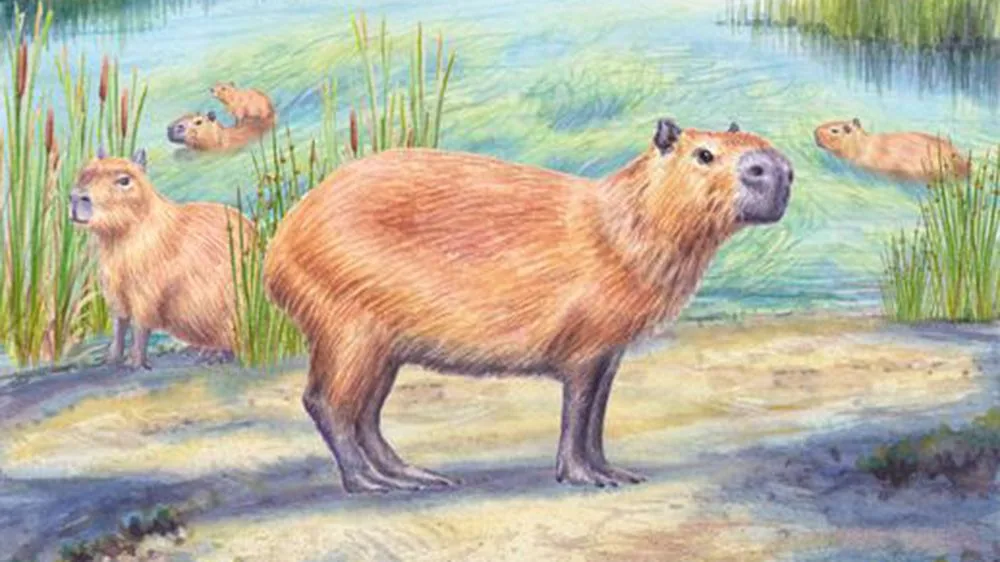 Ancient capybara tooth found in Atacama Desert challenges desert climate assumptions